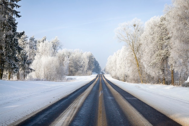 冬季、晴天時の危険なスピードアドバイス道路、木々はたくさんの白い雪で覆われています。