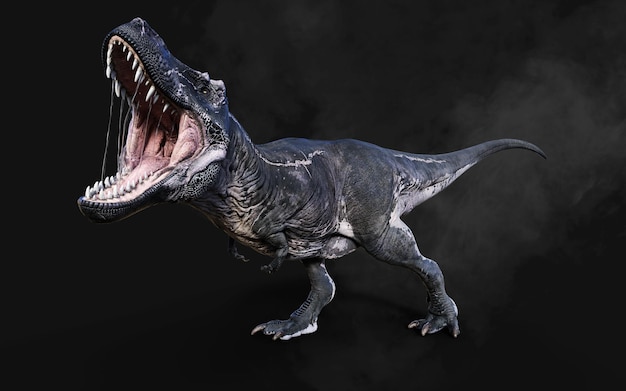 Dangerous Tyrannosaurus Rex Acts and Poses Isolated on Black Background with Clipping Path