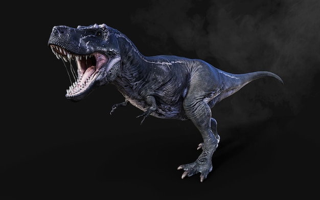 Dangerous Tyrannosaurus Rex Acts and Poses Isolated on Black Background with Clipping Path