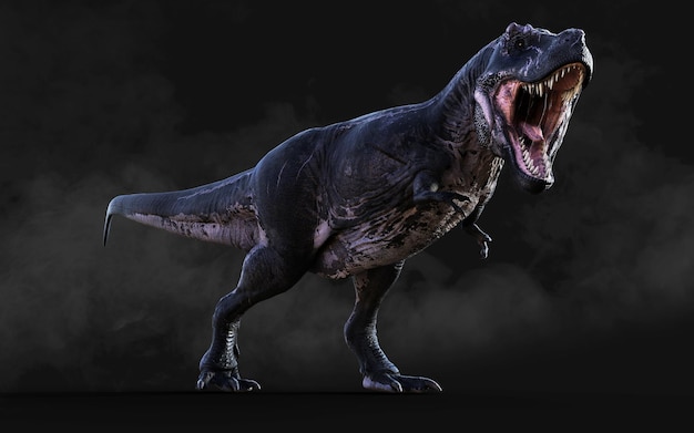 Dangerous Tyrannosaurus Rex Acts and Poses Isolated on Black Background with Clipping Path