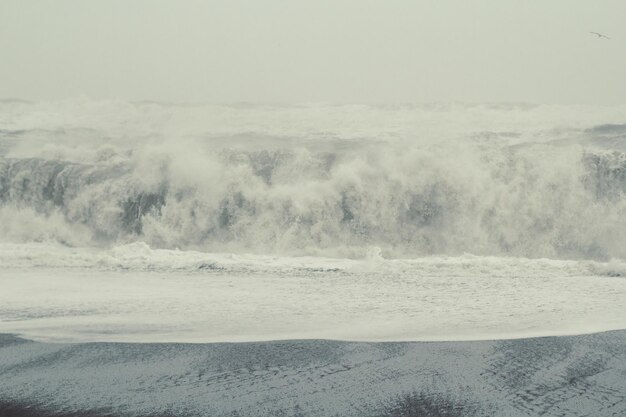 Dangerous waves at storm landscape photo