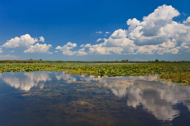 Danube delta romania