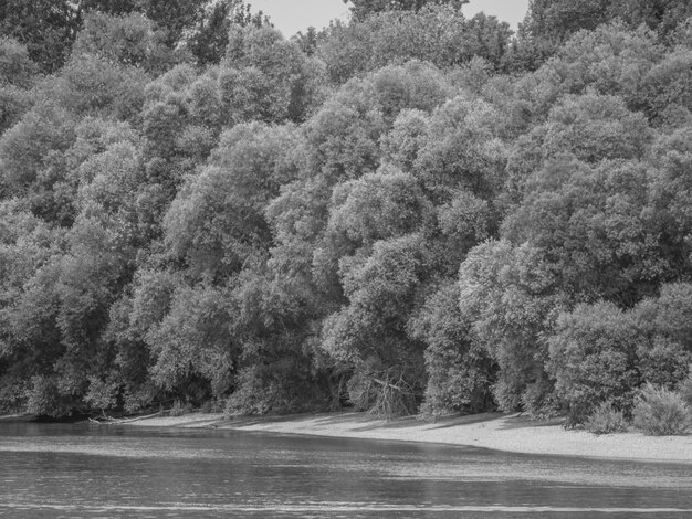 danube in Hungary