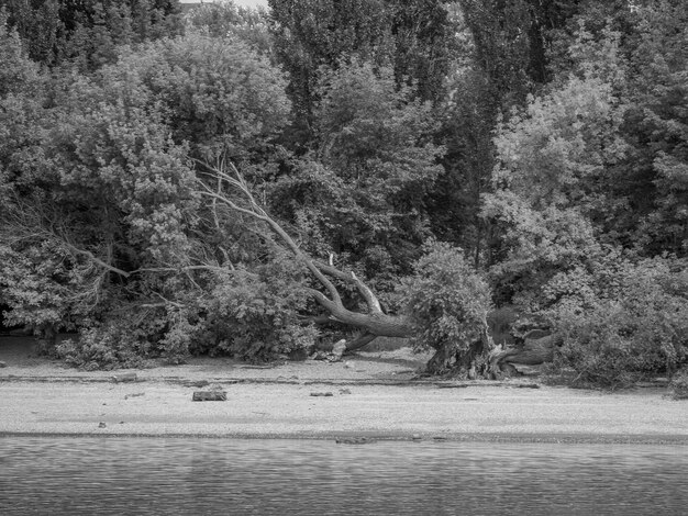 danube river