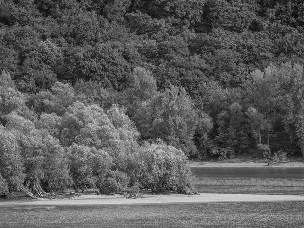 the danube river