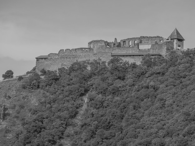 Photo at the danube river