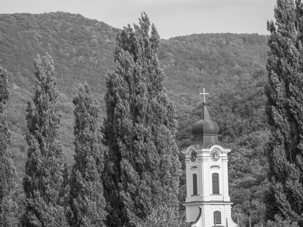 Photo at the danube river