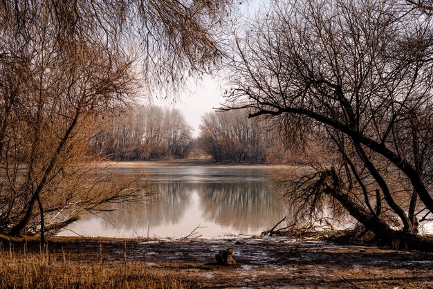 Danube in winter