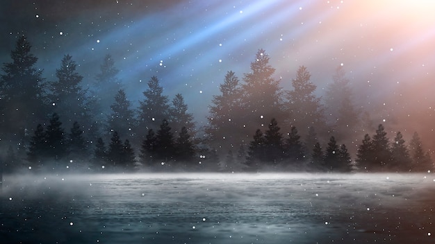 Dark abstract winter forest background.