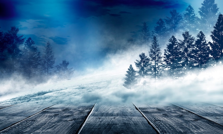 Photo dark abstract winter forest background.