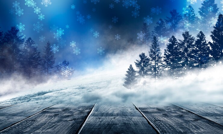 Photo dark abstract winter forest background.