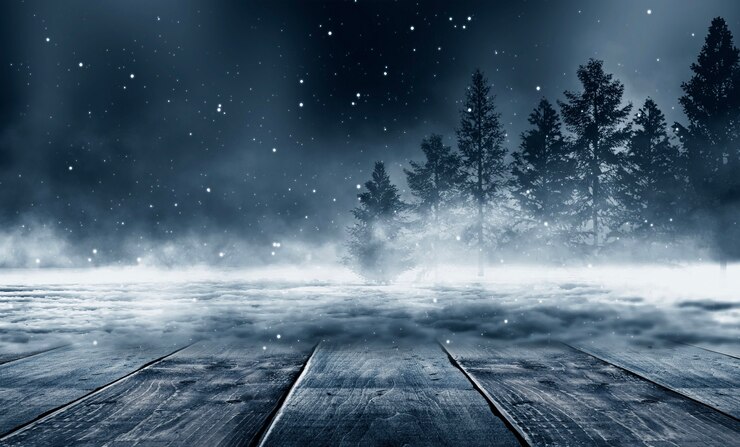 Photo dark abstract winter forest background.