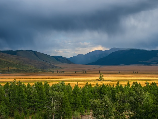 Dark atmospheric landscape with steppe in highlands. Mountains and bright golden field among low clouds. Beautiful cloudy rainy weather in mountains.