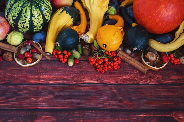 dark background with autumn vegetables