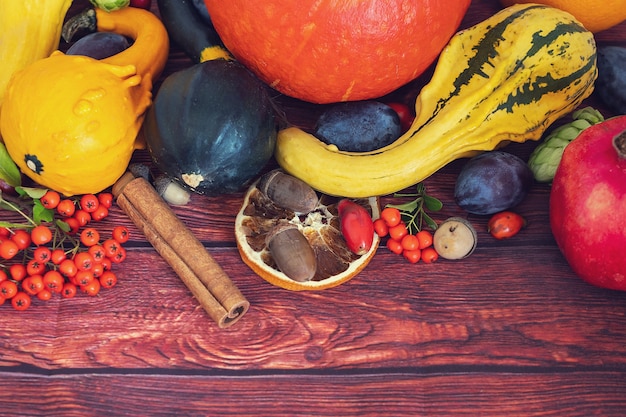 Photo dark background with autumn vegetables