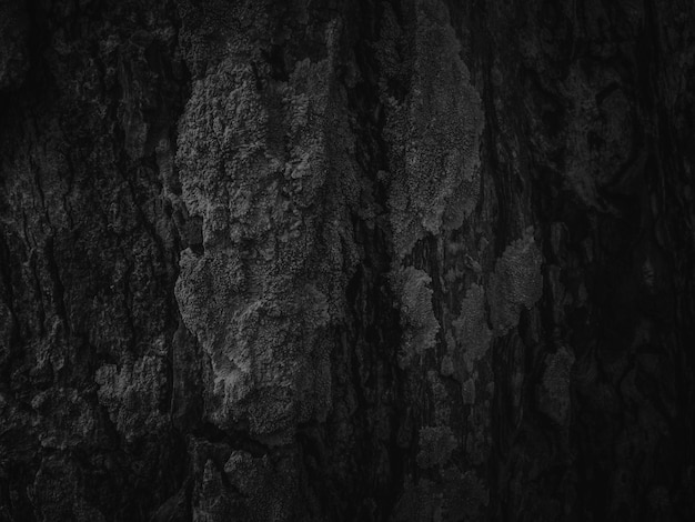 Dark black wood texture background. 