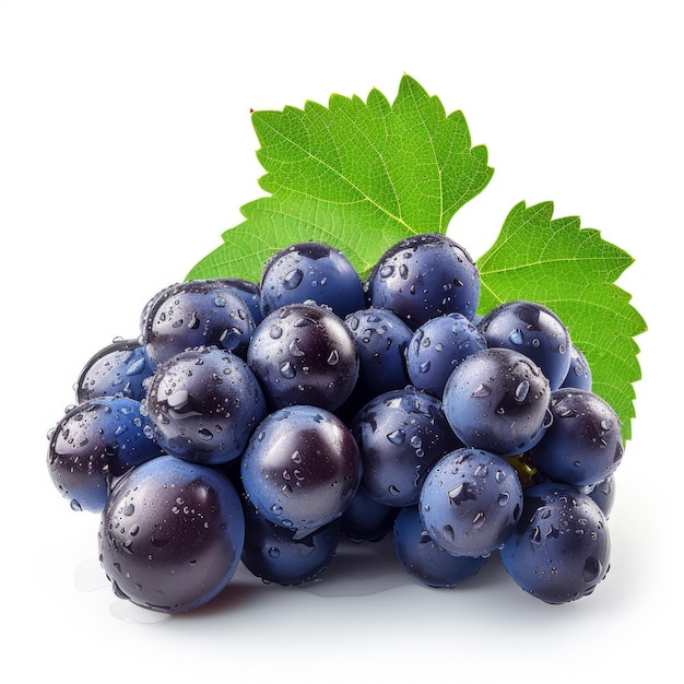 Dark blue grape with leaves isolated on white background