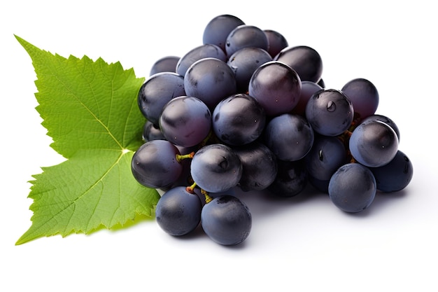 Dark blue grape with leaves isolated on white background