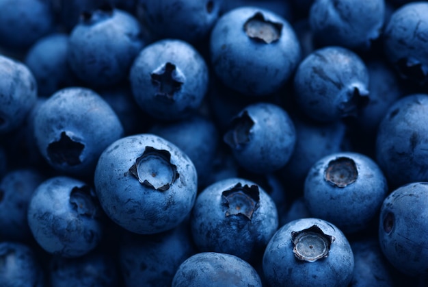 Photo dark blue ripe blueberry close up
