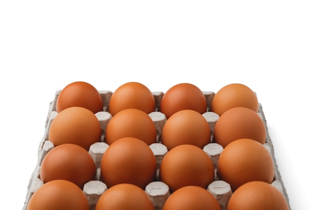 Dark brown chicken eggs lie in the cells of a paper container that sits at the bottom center