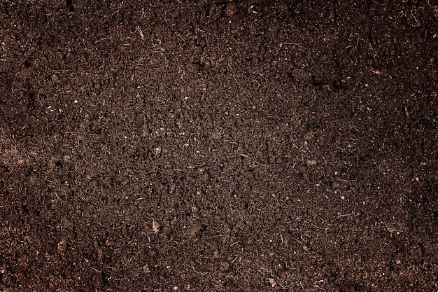 Dark brown soil background top view