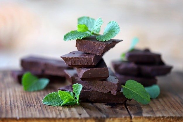 Dark chocolate pieces and fresh mint leaves