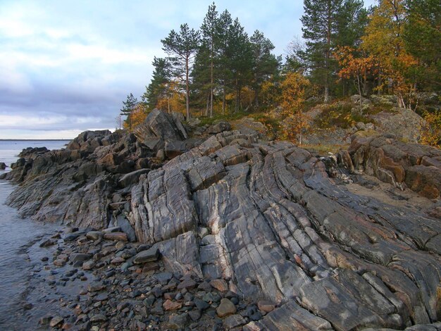Dark granite stone with thin layers on the shore of the White Sea Republic of Karelia