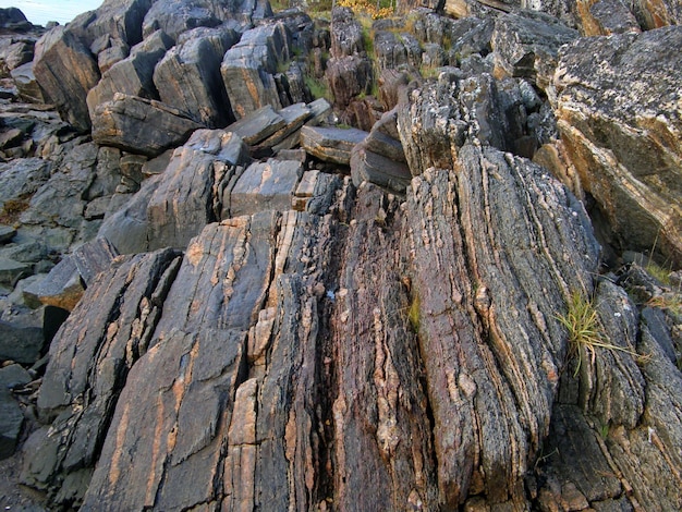 Pietra di granito scuro con strati sottili sulla riva della repubblica di carelia del mar bianco