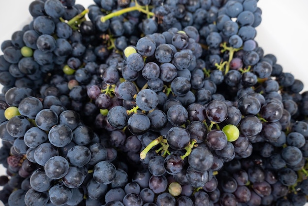 Dark grapes for making wine on a white background closeup