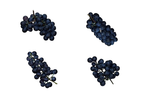 Photo dark grapes on a white background close up fresh fruits wine grapes juicy berries and fruits