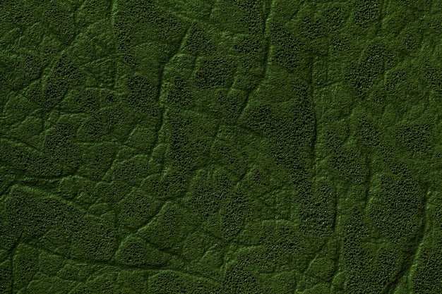 Dark green artificial leather background with texture and pattern, closeup