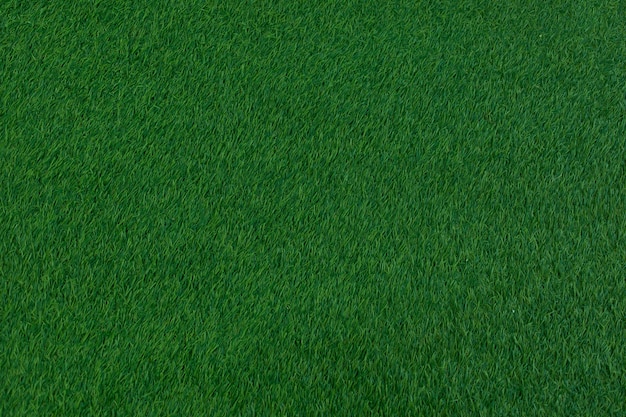 Dark green grass carpet.