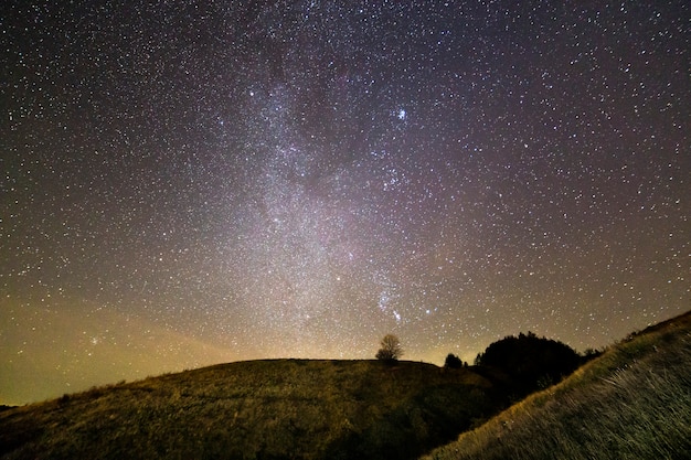 Dark green grassy hills, lonely tree and bushes at night under beautiful dark blue summer starry sky. Night photography, beauty of nature concept.