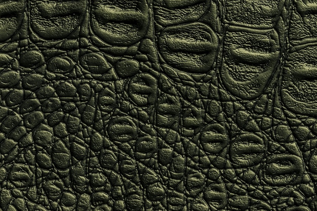 Photo dark green leather texture, closeup. reptile olive skin, macro. nature structure of textile.