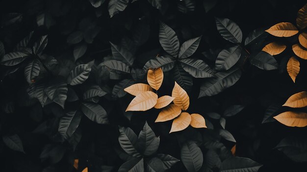 Photo dark leaves cast a tranquil spell on your desktop background desktop wallpaper