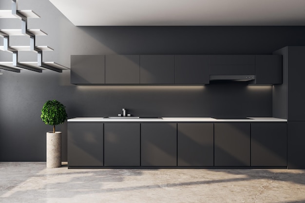 Dark loft kitchen interior