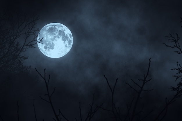 Photo dark night forest against full moon 3d illustration