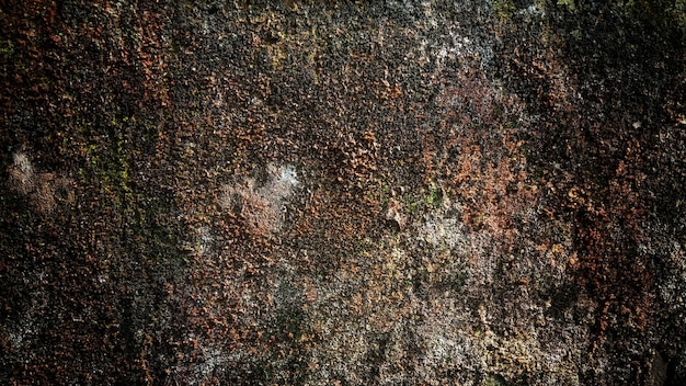 Dark old wall texture background walls full of scratches and moss