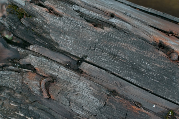 Vecchia struttura di legno scura o primo piano del fondo