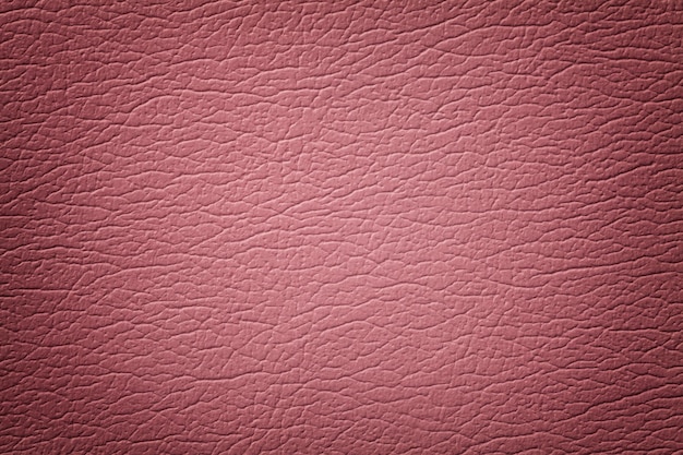 Dark pink leather texture background, closeup. Pink cracked backdrop from wrinkle skin, structure of textile with vignette.