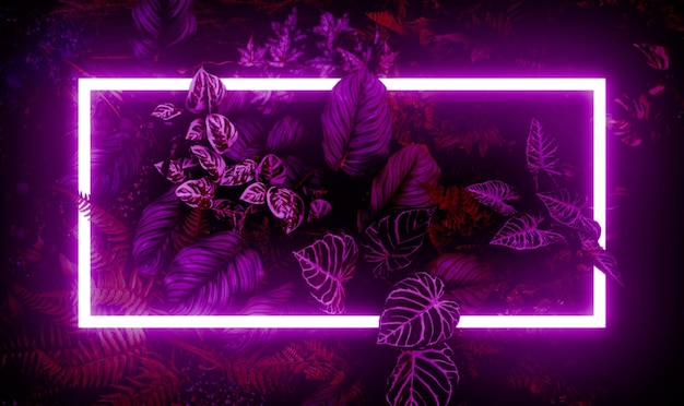 Foto luce neon rosa scura e foglie tropicali sfondo e cornice rettangolare con striscia orizzontale