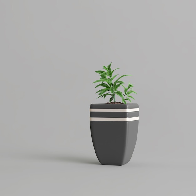 Dark potted plant isolated on gray background