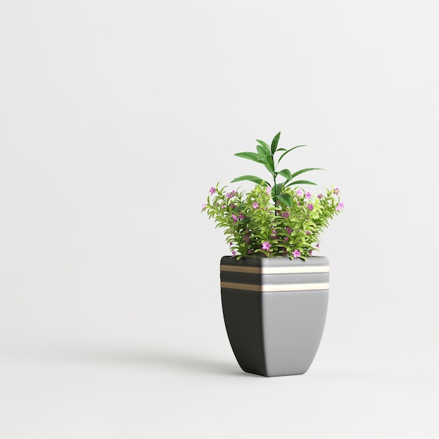 Dark potted plant isolated on light background