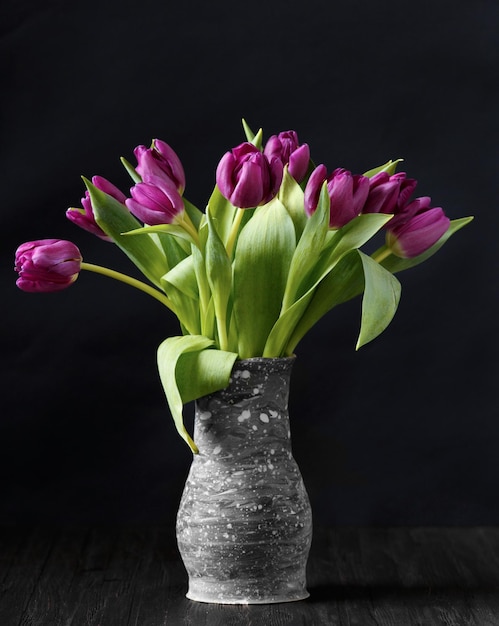 Dark purple tulips on a black background