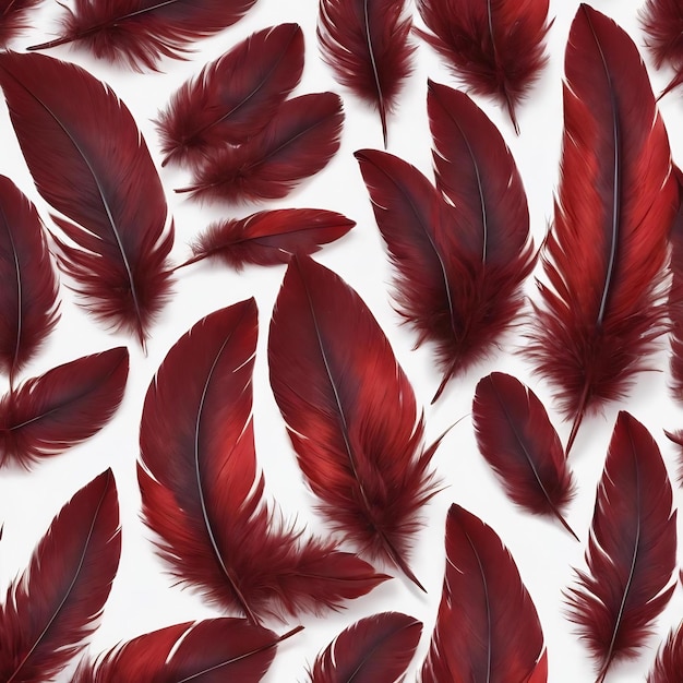 Dark red feathers