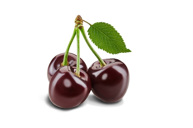 Dark red sweet cherries with stems isolated