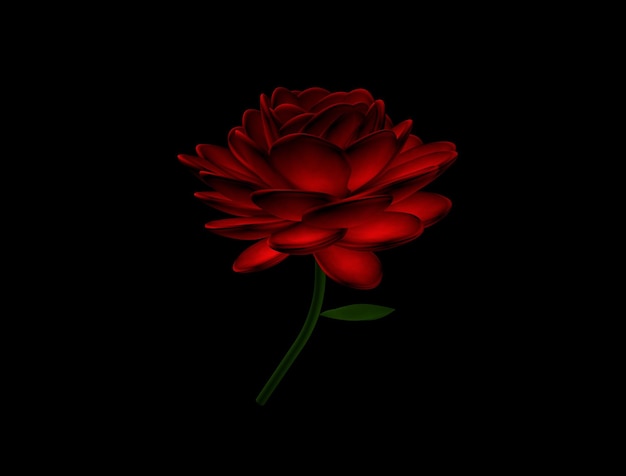 Dark Rose 3D Image Beautiful Rose Illustration 3D on Black Background