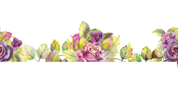 Dark roses, buds, leaves. Repeating summer horizontal border. Floral watercolor. Watercolor compositions for the design of greeting cards or invitations. Illustration.