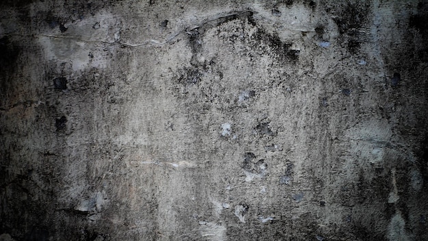 Dark scary background Dark black concrete wall scary halloween background cement texture