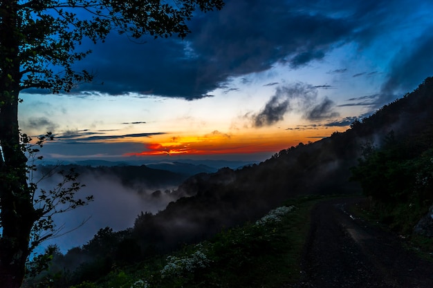 Dark Silhouettes of Trees and Amazing Cloudy Sky on Sunset at Black Sea Turkey